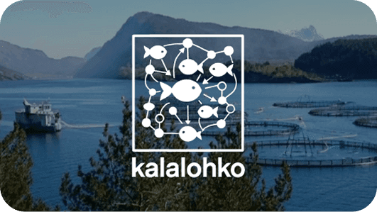 Kalalohko